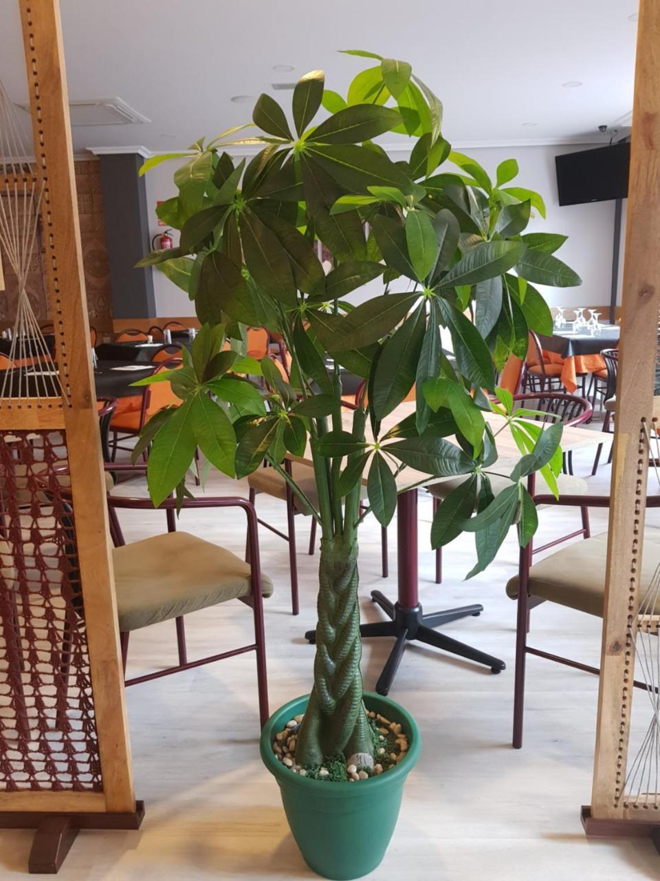 Hostal Restaurante El Abuelo Trobajo Del Camino Extérieur photo